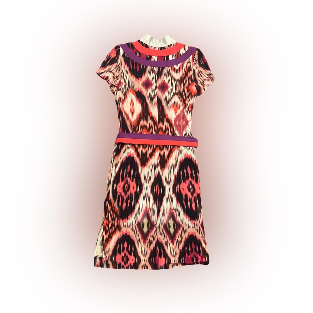 Paula Quadretti Multicolor Ikat Print Dress - Picture 2 of 2